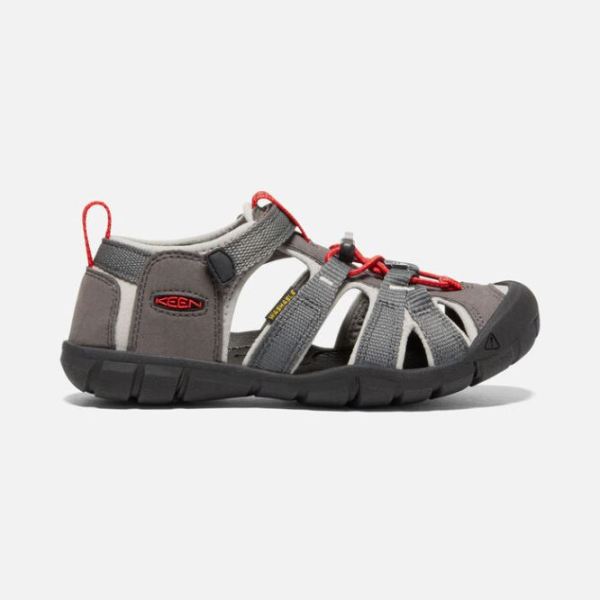 Keen Outlet Big Kids' Seacamp II CNX-Magnet/Drizzle