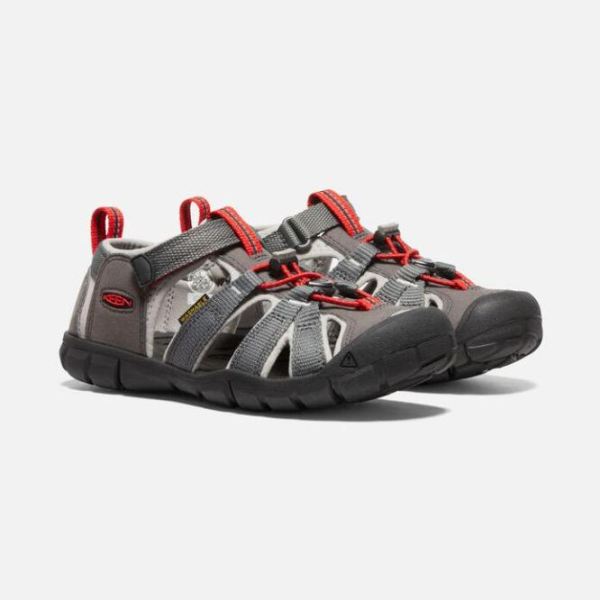 Keen Outlet Big Kids' Seacamp II CNX-Magnet/Drizzle