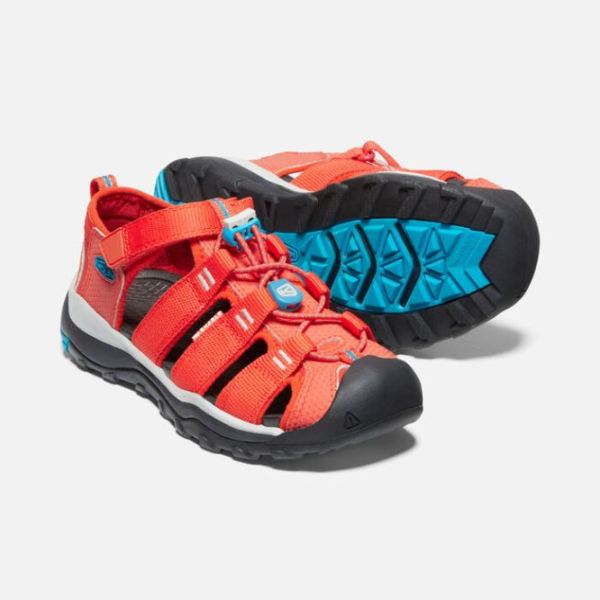 Keen Outlet Big Kids' Newport Neo H2-Orange/Vivid Blue - Click Image to Close