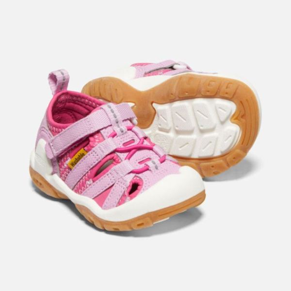 Keen Outlet Toddlers' Knotch Creek Sandal-Magenta/Lilac Chiffon - Click Image to Close